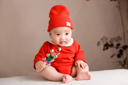 靖边宝宝餐椅哪种最实用 靖边宝宝餐椅哪种最实用